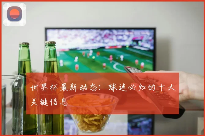 世界杯最新动态:球迷必知的十大关键信息