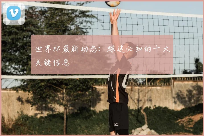 世界杯最新动态:球迷必知的十大关键信息