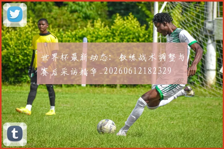 世界杯最新动态:教练战术调整与赛后采访精华_20260612182329